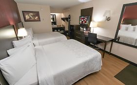 Red Roof Inn Plus Ann Arbor Mi 3*